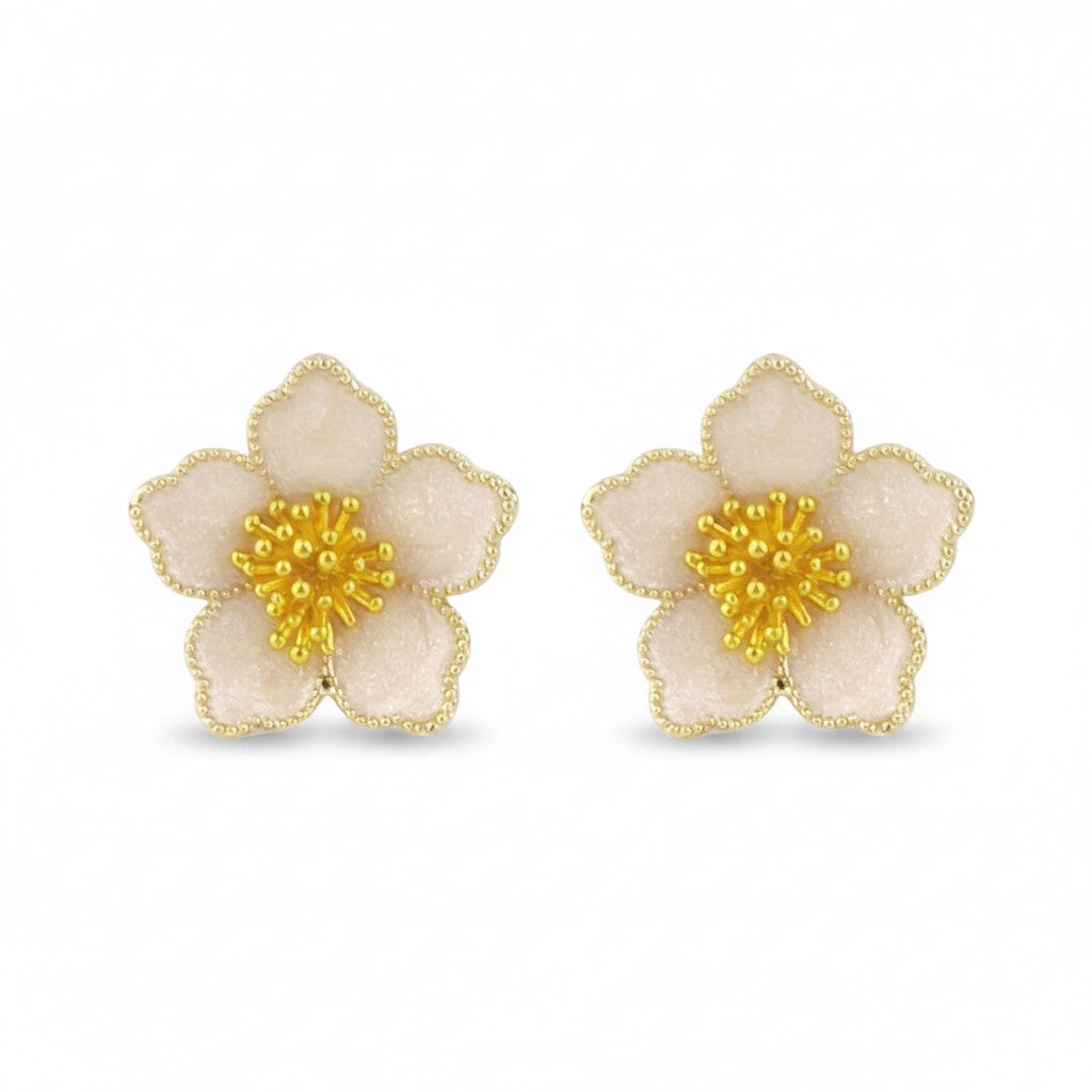 ARETE ROSETA NACAR
