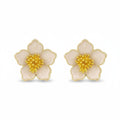 ARETE ROSETA NACAR