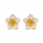 ARETE ROSETA NACAR