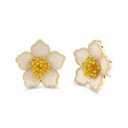 ARETE ROSETA NACAR
