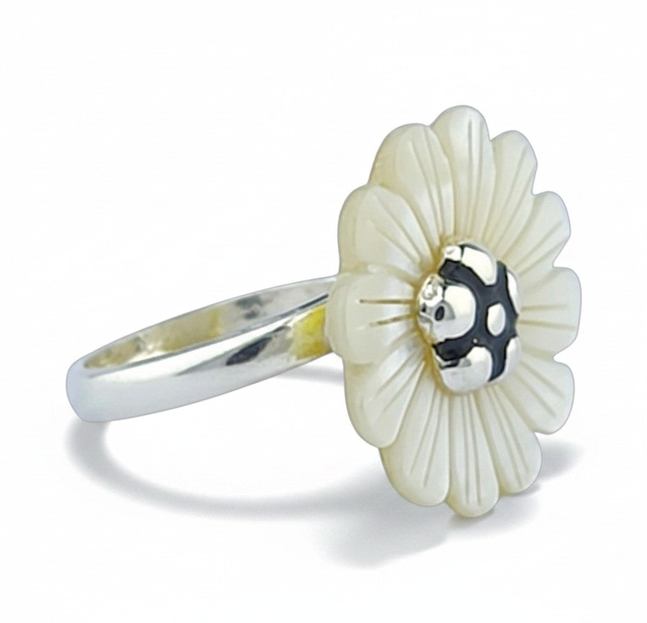 Anillo Benia